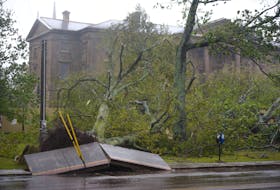A downed tree ripped up the sidewalk in front of Province House in downtown Charlottetown during post-tropical storm Fiona. Nathan Rochford • Special to The Guardian