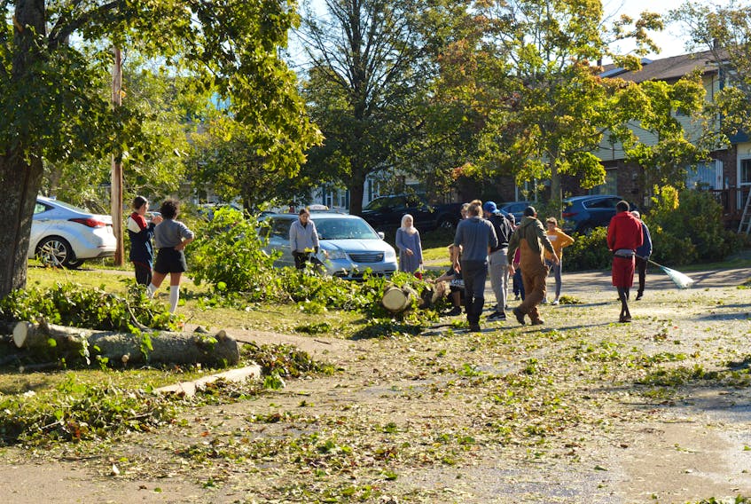 A community comes together to move a tree near Queen Street in Charlottetown Sept. 25
. Alison Jenkins • The Guardian