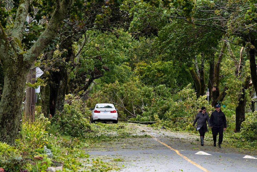  Residents walk past trees and powerlines were downed in Halifax, Nova Scotia, Canada Sept. 24.