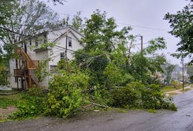 A fallen tree hit power lines on Lyman Street, Truro.