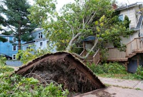  A fallen tree lies on a house following the passing of Hurricane Fiona, later downgraded to a post-tropical storm, in Halifax, Nova Scotia, Canada September 24, 2022.