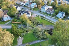 An aerial view from Sunday shows trees blocking Byng Avenue in Sydney near Wentworth Park. COMMUNICATIONS NOVA SCOTIA PHOTO