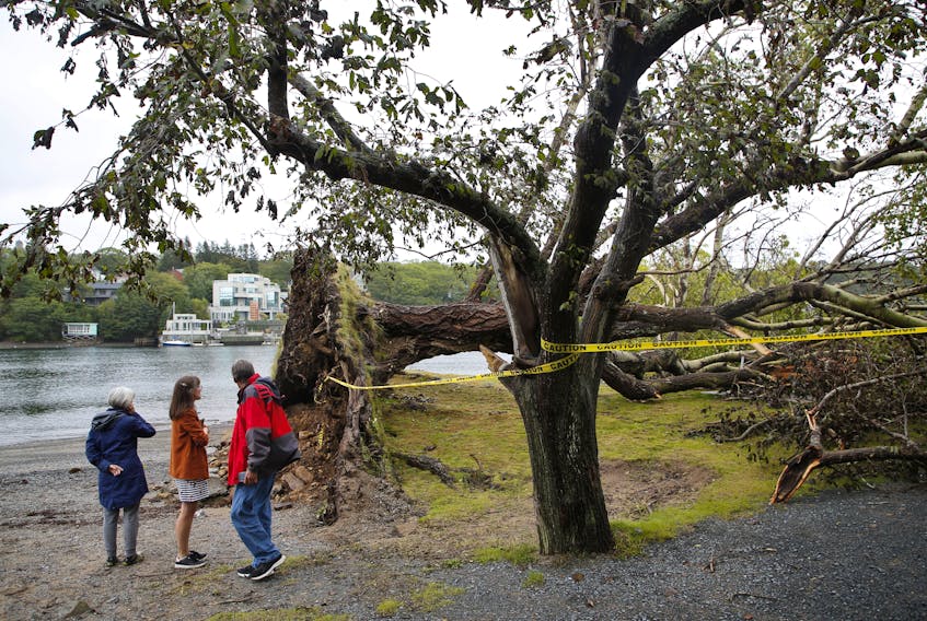 Fallen trees are seen at the Dingle Park in Halifax Monday September 26, 2022.

TIM KROCHAK PHOTO