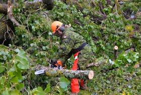 Pte. Emma Bowman, a medic with the 33 Field Ambulance, was responsible for cutting up a large cluster of trees on Sept. 27 that fell behind Birchwood Intermediate School on Longworth Avenue in Charlottetown. Bowman was one of 34 soldiers tasked with helping with cleanup efforts from post-tropical storm Fiona. TERRENCE MCEACHERN • THE GUARDIAN