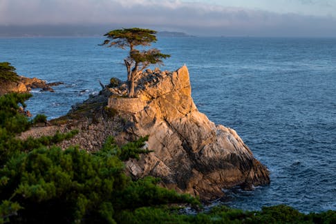 FOLLOW A FOODIE: Cooking Inspired by California's Coastline