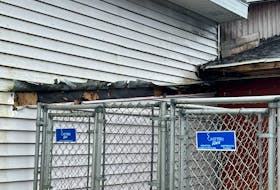 The roof of the outdoor dog run (seen here) at the Cape Breton shelter of the Nova Scotia SPCA was blown off during post-tropical storm Fiona on Saturday. A section of the roof was ripped off causing animals to be evacuated from the facility on East Broadway Street in Whitney Pier on Tuesday. CONTRIBUTED