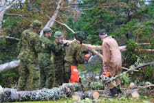 Military members help clear a felled tree near a power line in Catalone on Wednesday. IAN NATHANSON/CAPE BRETON POST