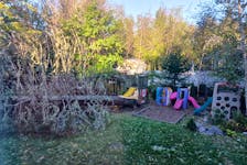 The Profitt family lost a cherished spruce tree planted decades ago when Fiona blew through their Halifax backyard. - Contributed