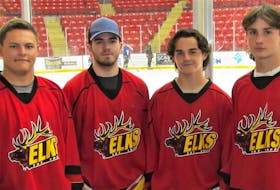Shown before a practice at the Rath Eastlink Community Centre are Brookfield Elks players Ben Fraser (left), Jeremy O’Connell, Ben Stewart and Will Stewart. Contributed