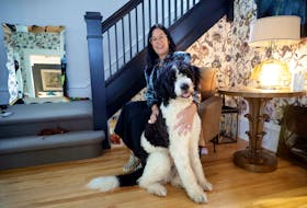 September 28, 2022--Photo of Suzanne Haslett with her dog Gilbert, a two-year-old Bernese Mountain dog and poodle mix in her house. Photo for Francis Campbell story on how the recent arrivals from London, England, faired during Hurricane Fiona.
ERIC WYNNE/Chronicle Herald