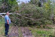 A resident surveys the damage left by post-tropical storm Fiona to trails managed by the Pictou County Trails Association. Contributed