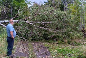 A resident surveys the damage left by post-tropical storm Fiona to trails managed by the Pictou County Trails Association. Contributed