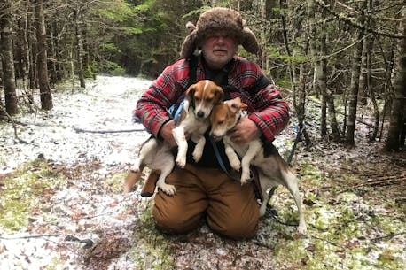BOB WAKEHAM: How two beloved beagles, lost in the woods near Flatrock on a winter's night, showed utter devotion to each other until their rescue