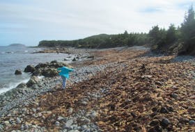 Jantje VanHouwelingen sent this photo of piles of seaweed on Ragged Beach in Witless Bay, N.L., as Fiona approached. Several factors can lead to seaweed amassing on the shore, from high winds pushing them onto our coasts to turbulent weather causing the tides to pull out, leaving the seaweed behind. Thanks for sharing, Jantje. PHOTO CREDIT: Contributed/Jantje VanHouwelingen.