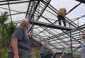 Earl's Greenhouse surprisingly suffered very little damage from post-tropical storm Fiona's damaging winds. Earl MacPherson, far left, and his crew were on scene Wednesday morning replacing four glass panels that represented the extent of the damage. This year will be the 100th year of operation for the greenhouse and Earl's 50th. He said in the days leading up to the storm had him doubting he'd be able to open for that 50th year. "I figured she'd all be gone," MacPherson said. "It could have been a lot worse; I could have lost my property but nobody got hurt." MacPherson was glad it wasn't as bad as the devasting storm of October 1974 in Cape Breton when he recalls hearing the storm racing up the field. The greenhouse suffered much damage during that event. GREG MCNEIL/CAPE BRETON POST