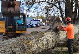 Crews from the cities of Moncton and Fredericton in New Brunswick spent morning on Sept. 29 taking down a 80-foot poplar tree that had fallen on a home on Queen Street in Charlottetown. Dave Stewart • The Guardian
