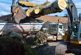 Crews from the cities of Moncton and Fredericton in New Brunswick work on removing a tree that had fallen on a house on Queen Street in Charlottetown on Sept. 29. Dave Stewart • The Guardian