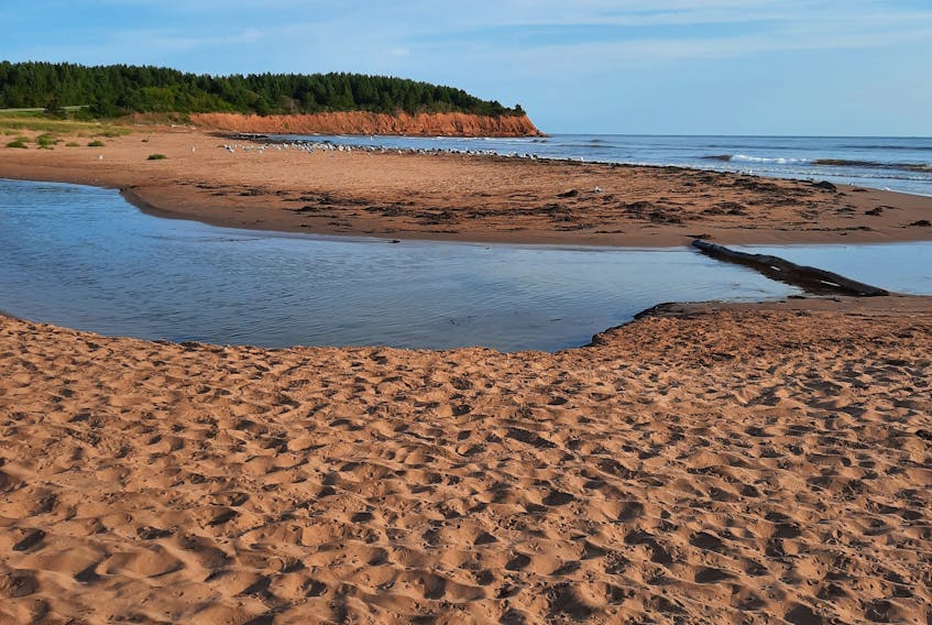 Simon Lemay was out for an early morning walk on North Rustico beach, P.E.I., and appreciated the moment of solitude and calm that nature provided. Thank you for reminding us to take time out of our busy Mondays to refocus. PHOTO CREDIT: Contributed/Simon Lemay.