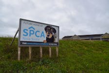 Construction could be starting on the new SPCA facility in Stellarton within the next few weeks.
