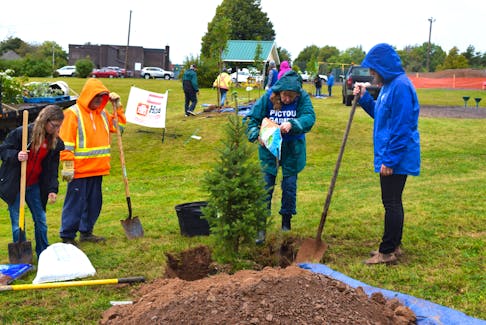 Maples and white spruce were planted at Broidy Park and Pine Street Park in Pictou by Proudfoots Home Hardware Building Centres, the Town of Pictou, the Pictou and Area Garden Club and Tree Canada.