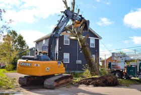 Island Coastal Ltd. sent in heavy machinery to help lift an 80-foot high popular off a home on Queen Street in Charlottetown on Sept. 29. Dave Stewart • The Guardian