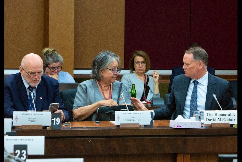 Sen. Vern White, Sen. Frances Lankin and David McGunity, chair of the National Security appear before the Senate National Security Committee in Ottawa in June 2019.