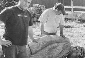 Hantsport Public Works employee Ryan Mercier, left, and superintendent Peter Johnston, look over the iconic wooden sea captain that was removed in August 2007 for repairs. During the removal, staff discovered an old well — dating back to the days before the community had a water system.