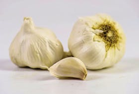 To ensure a healthy garlic crop next year, Helen Chesnut advises gardeners to use the best of the new bulbs for planting.