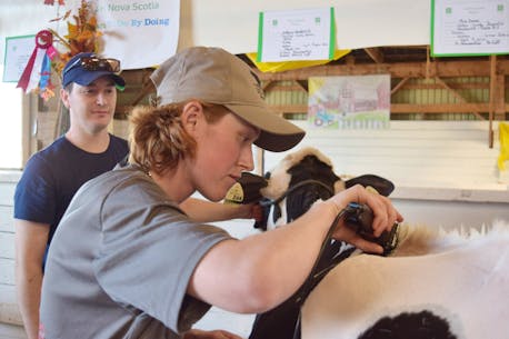 IN PICTURES: 4H Day at Pictou-North Colchester Exhibition