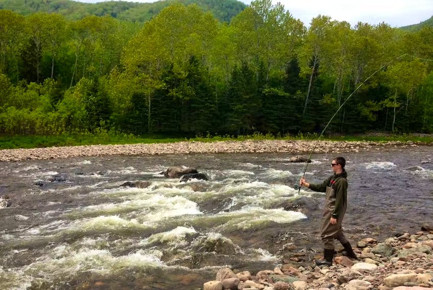 Cape Breton's Margaree River reopens to anglers