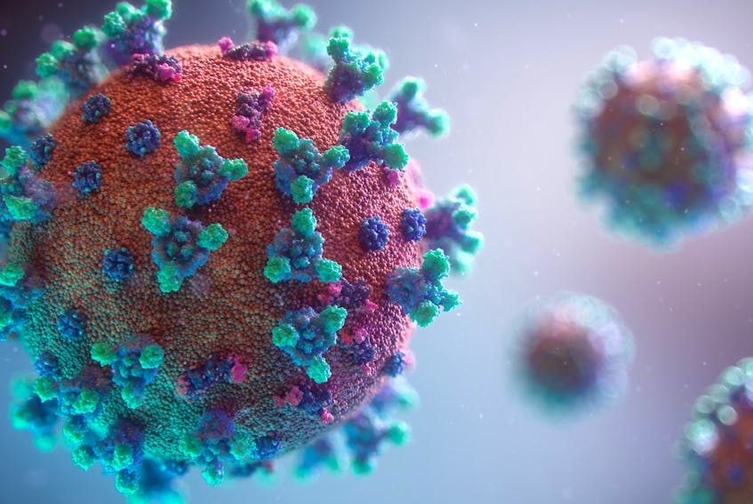 A new subvariant of the COVID-19 virus, XBB.1.5, was recently detected in the province. Photo by Fusion Medical Animation on Unsplash