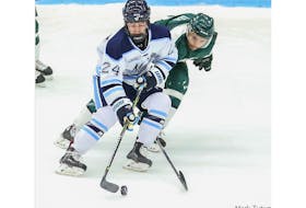 Gander native Adam Dawe, shown here during his playing days at the University of Maine, signed with the Newfoundland Growlers on Monday. A grad student at the University of Connecticut, Dawe played 16 games with the Huskies before turning pro with the Growlers. University of Maine photo