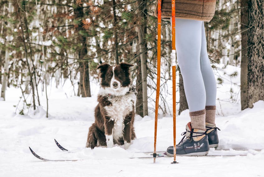 It’s slightly hard to define back-country cross-country skiing. For some folks, it might mean a deep and distant multi-day trek into the mountains; for others, it may just mean traversing through slightly out-of-bounds fields in flatter parts of Atlantic Canada.