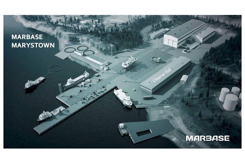 Paul Antle's company, Marbase, plans to turn the old shipyard at Marsytown into a lumpfish hatchery and wolf fish farm.