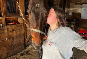 When Tyra Perry began a GoFundMe campaign to raise the $4,000 needed to rescue her horse, Mittcent Vangogh, from a slaughterhouse, she thought her efforts were a lost cause. To her surprise, friends, family and even strangers cared, and she was able to save her former companion. – Contributed