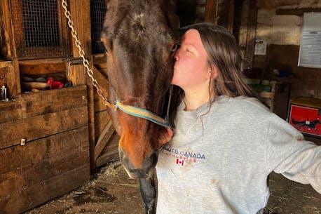 Former P.E.I. racing horse rescued from slaughterhouse, reunited with owner