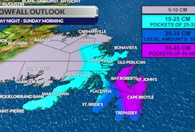 Latest model guidance projects total snowfall amounts of 20 to 40 cm on the Avalon Peninsula, with amounts of 40 to 60 cm possible in St. John’s.