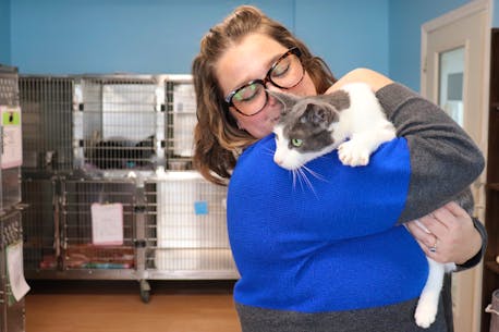 When surrendering animals, don’t leave them outside in a box, says P.E.I. Humane Society