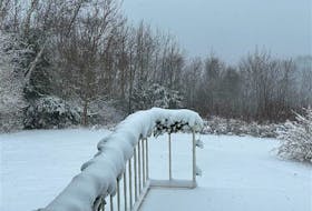 Nova Scotia got its first snow day of the year on Jan. 20, 2023.