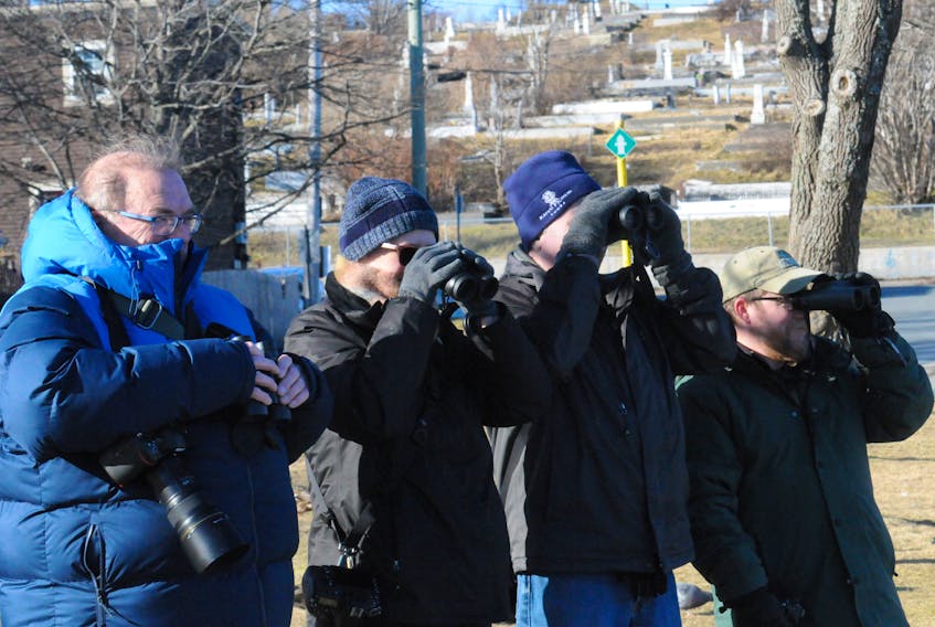 From left, Robert Thibault, of Quebec City, Canada, husband and wife Jayne Bartlett and Ken Bartlett, of central Pennsylvania, USA, and local host Jared Clarke of St. John’s, take in the sights of the various wildlife bird species congregating around Quidi Vid Lake on Jan. 28. They’re part of the birding group, “Wings Birding Tours,” a worldwide birding tour company based in Tucson, Arizona, that has operated for over 40 years. The group was in St. John's as a part of a scheduled birding tour. Photo by Joe Gibbons/The Telegram