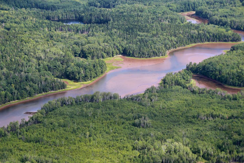 The Nature Conservancy of Canada (NCC) has conserved three new unique areas totalling 83 hectares (203 acres) along Nova Scotia's Northumberland Strait.  The land purchases of salt marsh wetland and forested sites are located on the Pugwash River,  along with the Missiquash Marshes on the Nova Scotia side of the Chignecto Isthmus.  Mike Dembeck • Contributed