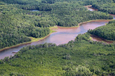 NATURE CONSERVANCY: Conserving coastal areas, freshwater wetlands and diverse forests in Atlantic Canada has global impact