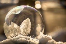 Mariette McDonald created and captured this beautiful frozen soap bubble in the Clayton Park neighbourhood of Halifax, N.S.