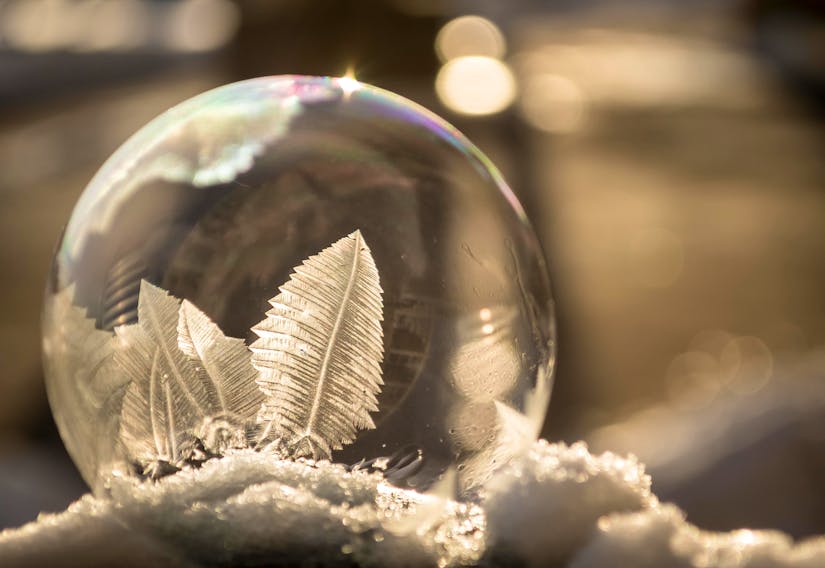 Mariette McDonald created and captured this beautiful frozen soap bubble in the Clayton Park neighbourhood of Halifax, N.S.