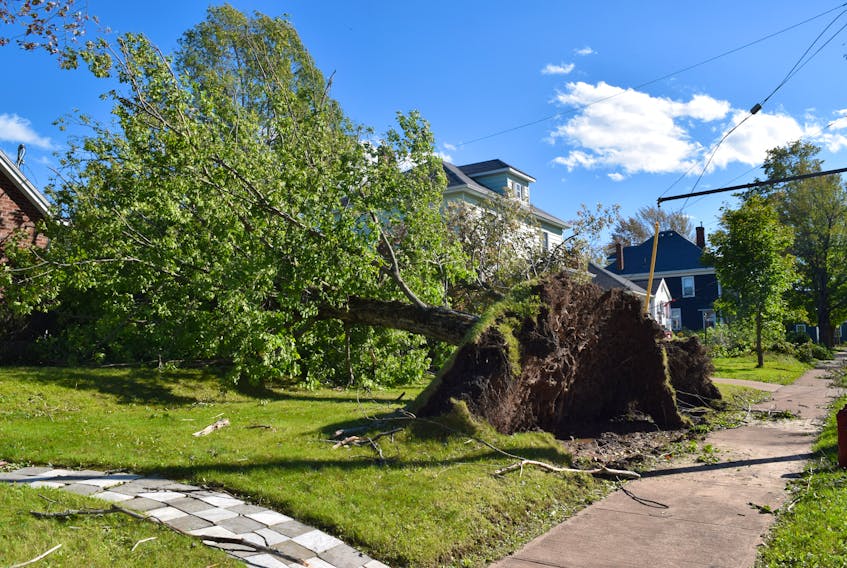 This was a familiar sight all around Pictou County in the aftermath of Fiona. While many residents received help from the Canadian Red Cross in the wake of the storm, others feel that they were arbitrarily denied help. - File photo