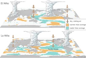 Ocean temperatures in the equatorial Pacific play a key role in weather patterns across the globe. -Contributed/NOAA