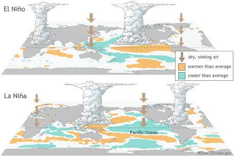 ASK ALLISTER: What determines El Niño or La Niña phases?
