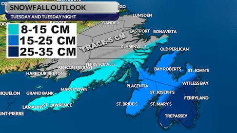 Parts of the southeast Avalon Peninsula are forecast to receive over 30 cm of snow by Wednesday morning.