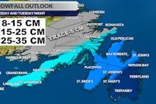 Parts of the southeast Avalon Peninsula are forecast to receive over 30 cm of snow by Wednesday morning.