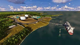 This conceptual image shows the Bear Head site as it might have looked as a liquified natural gas (LNG) facility. The company, now called Bear Head Energy, plans to construct a green hydrogen and ammonia production, storage and export facility at the Canso Strait location. CONTRIBUTED
